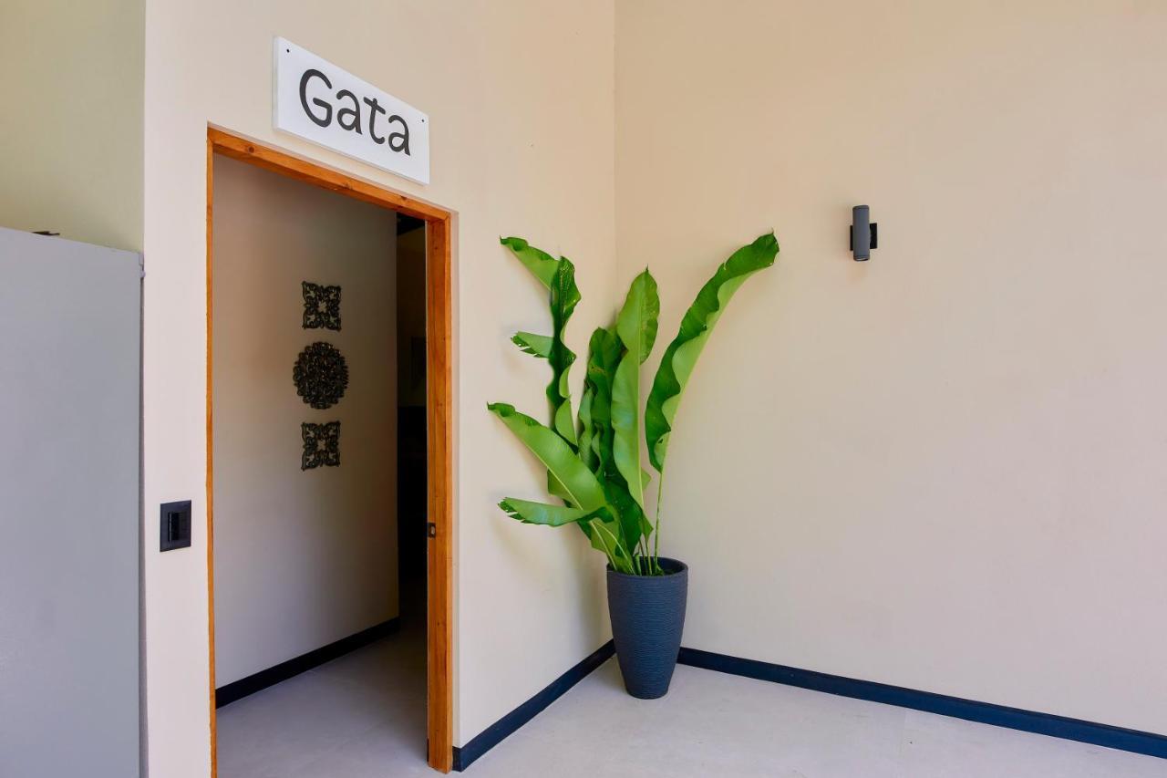 Lalola Villa Privada كويتا المظهر الخارجي الصورة